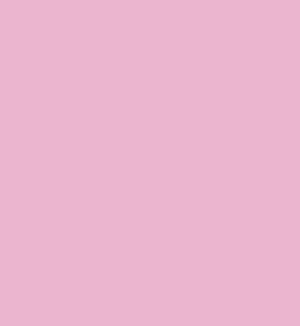 LAMINA GOMA EVA FAIBO 20X30 2MM ROSA